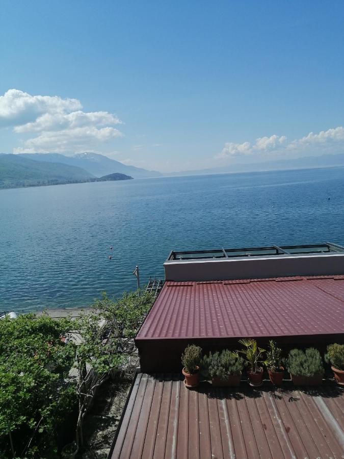 Hotel Orhidea House Ochryda Zewnętrze zdjęcie