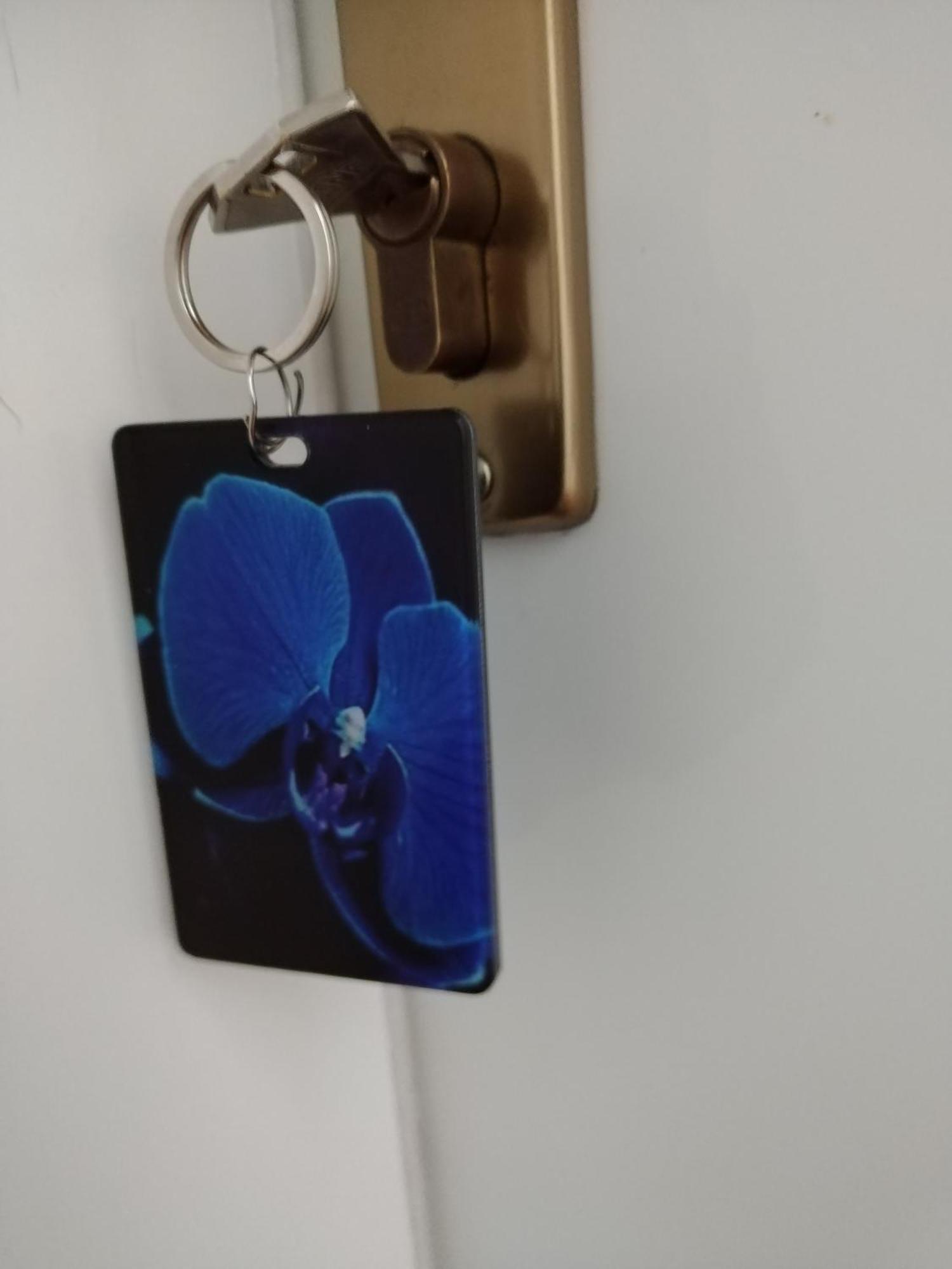 Hotel Orhidea House Ochryda Zewnętrze zdjęcie
