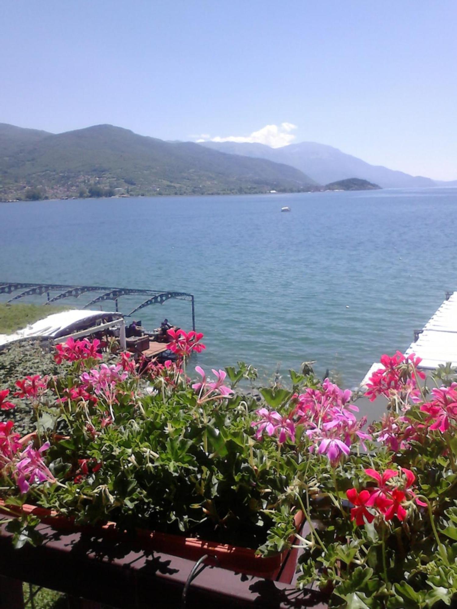 Hotel Orhidea House Ochryda Zewnętrze zdjęcie