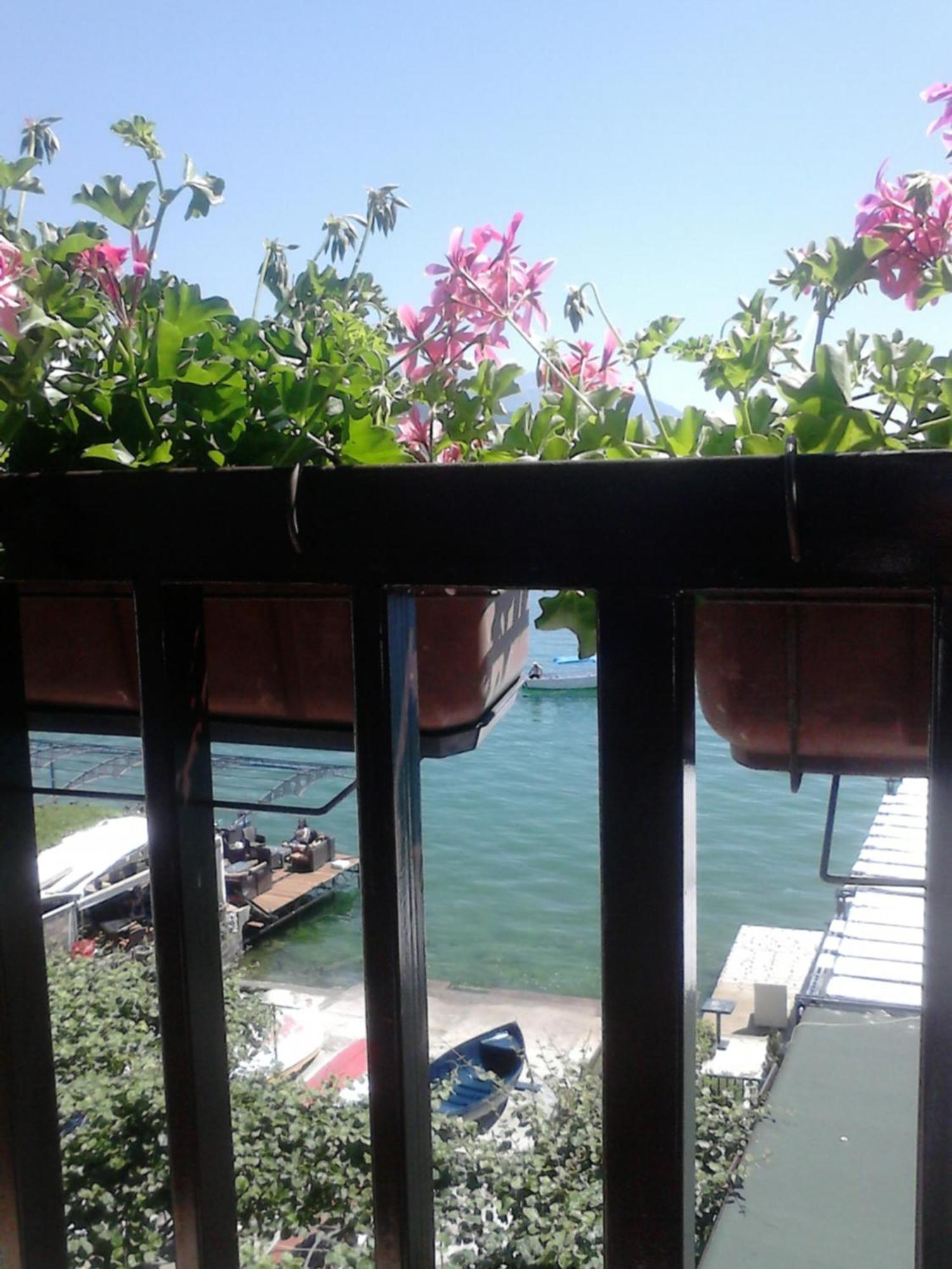 Hotel Orhidea House Ochryda Zewnętrze zdjęcie